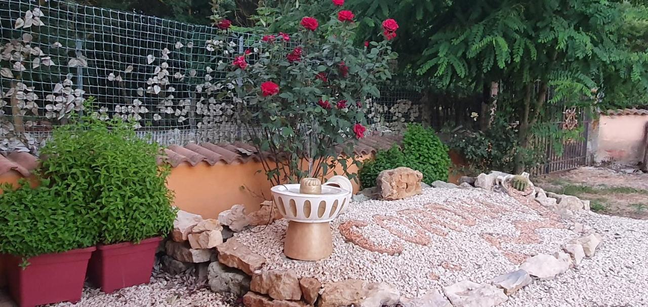 Bungalows Coronas Bonorva Екстериор снимка